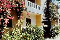 Hotel Dolphin